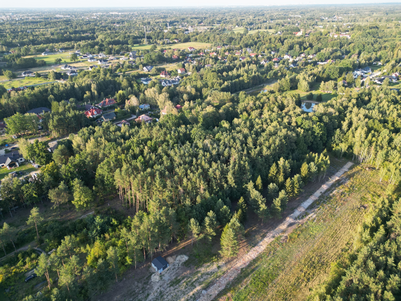 Plot Sale Adamowizna Radziejowicka 5