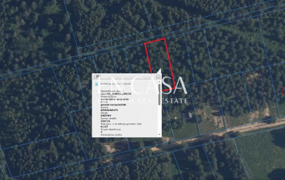 Plot Sale Orzyny