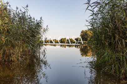 Plot Sale Dziekanów Polski Rolnicza