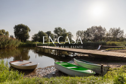 Plot Sale Dziekanów Polski Rolnicza