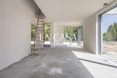 Investment Czarny Las Limbowa