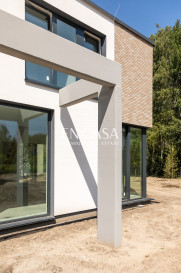 Investment Czarny Las Limbowa