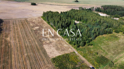 Plot Sale Wola Krakowiańska
