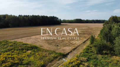 Plot Sale Wola Krakowiańska