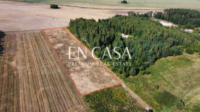 Plot Sale Wola Krakowiańska