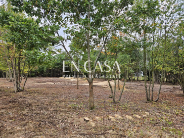 Plot Sale Kanie Polna