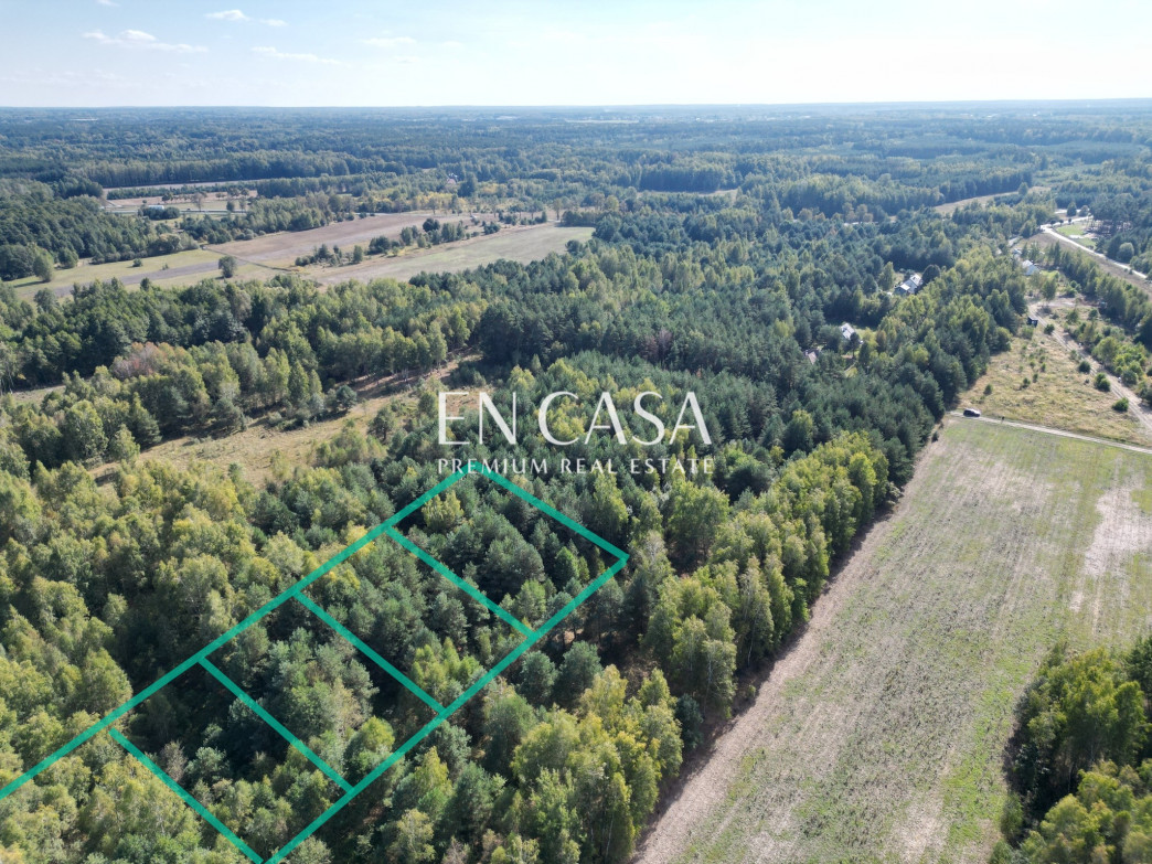 Plot Sale Kuklówka Radziejowicka Zalana Łąka 4