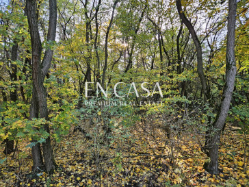 Plot Sale Książenice