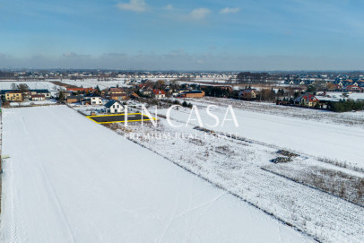 Plot Sale Laszczki Cytrynowa