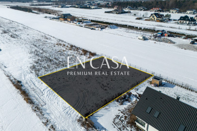 Plot Sale Laszczki Cytrynowa