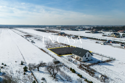 Plot Sale Laszczki Cytrynowa