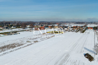 Plot Sale Laszczki Cytrynowa