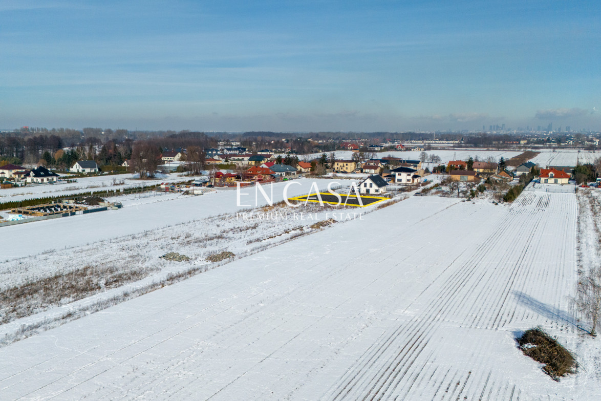 Plot Sale Laszczki Cytrynowa 6