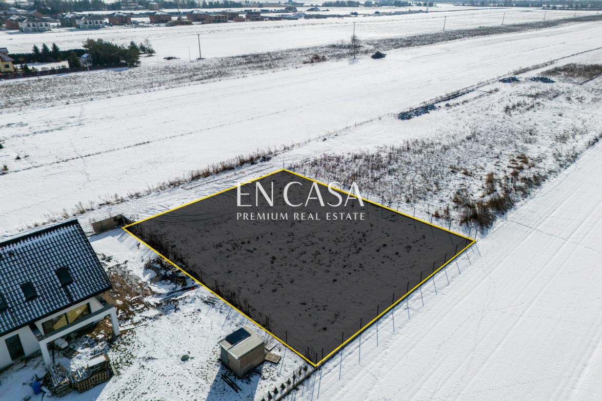Plot Sale Laszczki Cytrynowa 8