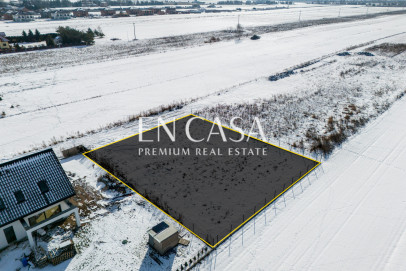 Plot Sale Laszczki Cytrynowa