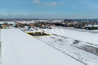 Plot Sale Laszczki Cytrynowa