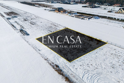 Plot Sale Laszczki Cytrynowa