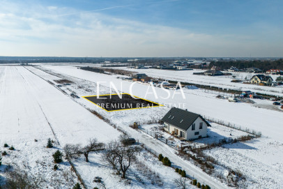 Plot Sale Laszczki Cytrynowa