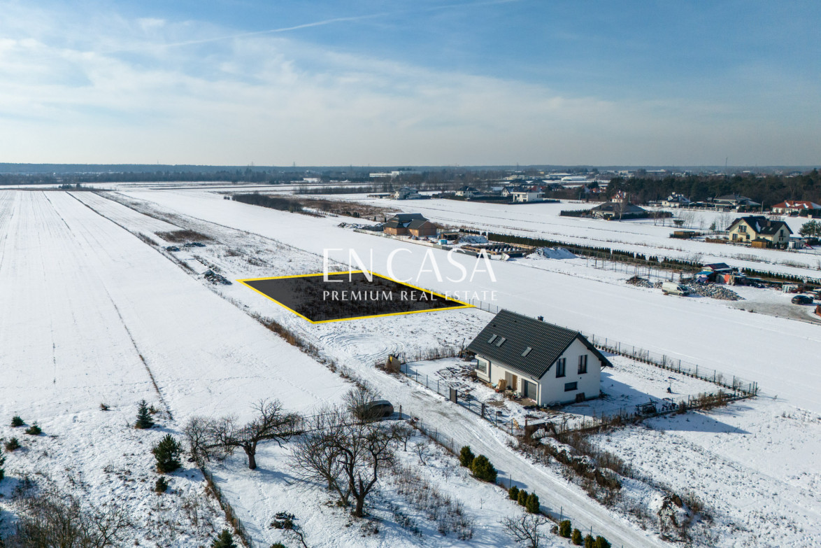 Plot Sale Laszczki Cytrynowa 5