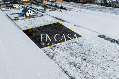 Plot Sale Laszczki Cytrynowa
