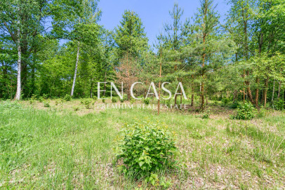 Plot Sale Żółwin Nadarzyńska