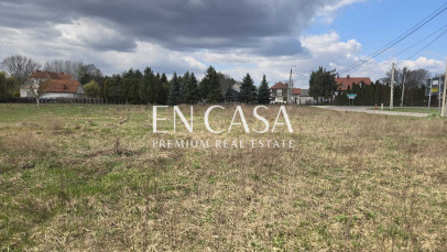 Plot Sale Okrzeszyn