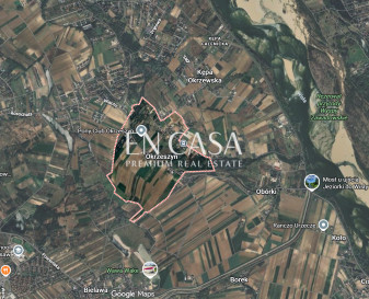 Plot Sale Okrzeszyn