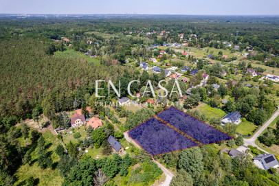 Plot Sale Zalesie Górne