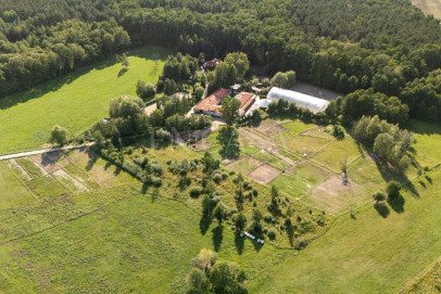 Plot Sale Świętochów