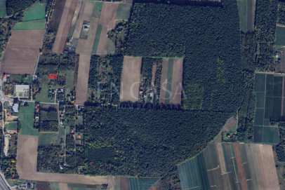 Plot Sale Załuski