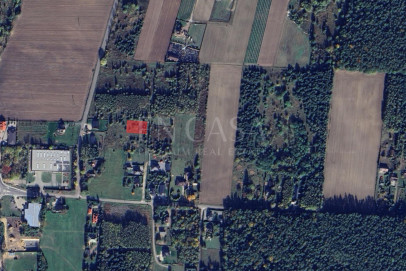 Plot Sale Załuski